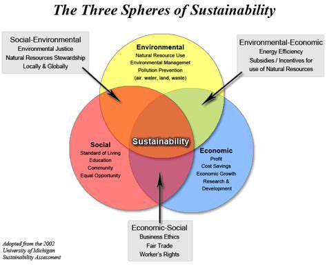 EconomicViabilityandSustainabilityStrategies
