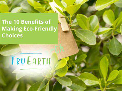 HealthBenefitsofChoosingEco-FriendlyOptions