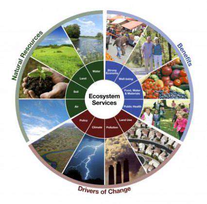 Nature Based Solutions in Real Estate Design