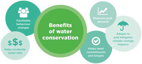 WaterConservationStrategies