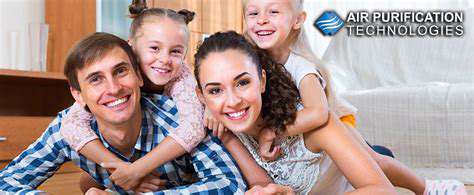 AirPurificationTechnologies:FilteringOutHarmfulPollutants